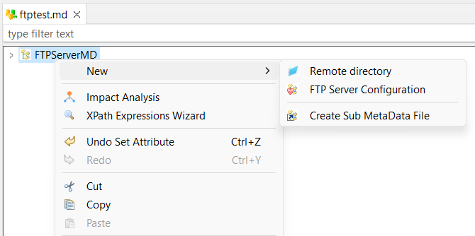 FTP metadata submenu labeled Remote directory