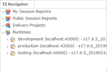 ana navigator runtimes