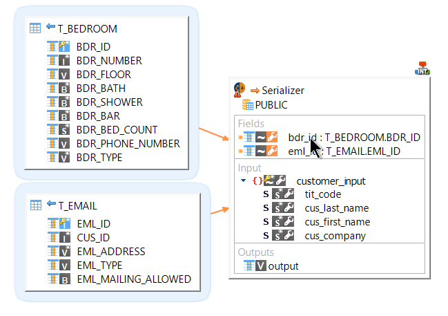 serializer field mapping