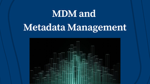 MDM and Metadata Management: What’s the Difference?