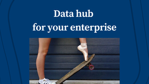 Sizing Up the Data Hub for Your Enterprise: Is it Worth the Cost?