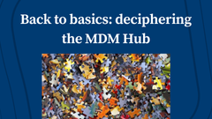 Back to Basics: Deciphering the Master Data Management (MDM) Hub