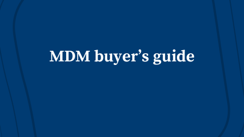 Master data Management Strategy Template (28)