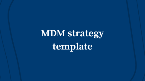 Master Data Management Strategy Template