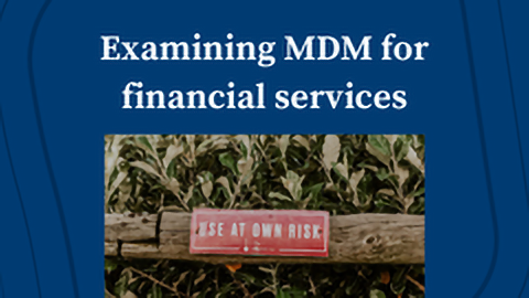 Examining Master Data Management for Financial Services