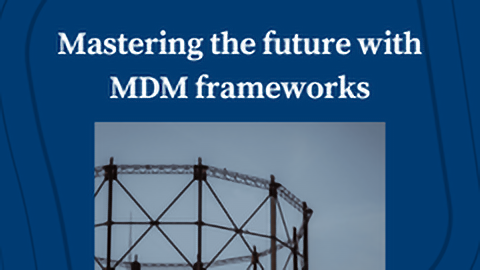 Mastering the Future with Master Data Management Frameworks