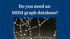 Do you Need a Master Data Management Graph Database?