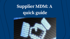 Supplier Master Data Management: A Quick Guide