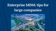 Enterprise Master Data Management: Tips for Large Companies