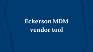 Eckerson Vendor Evaluation Tool