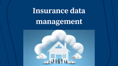 Insurance Data Management: From Risk to Resolution