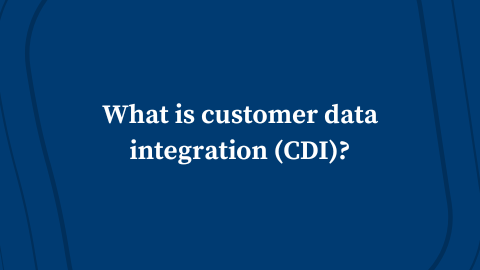 What is Customer Data Integration (CDI)?