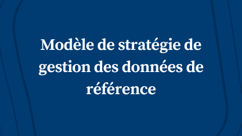 Modèle de stratégie de gestion des données de référence