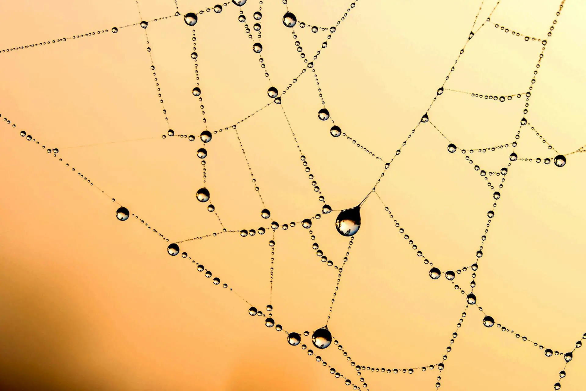 Data Integration: Definition, Techniques, Tools & Benefits
