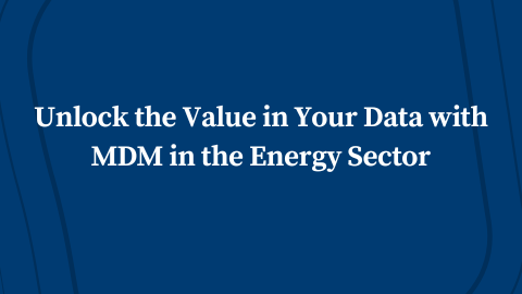 Unlock the Value in Your Data with Master Data Management in the Energy ...