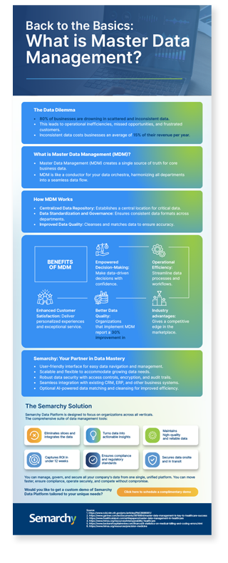 infographic pdf hero what is master data management