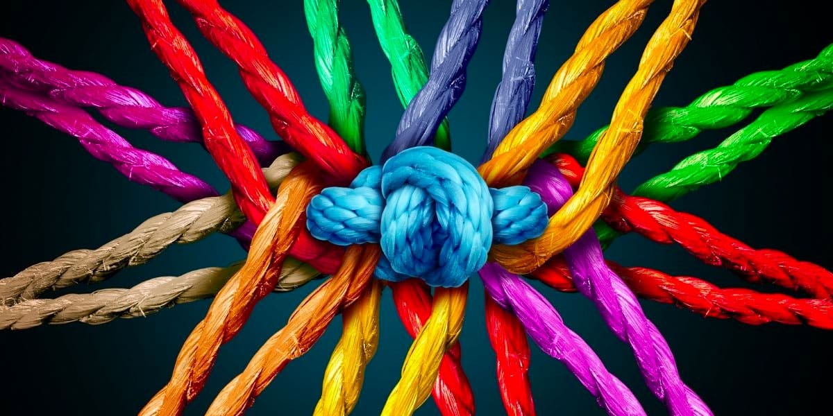 Better together: Master Data Management, Data Integration, Data Quality, and Data Governance