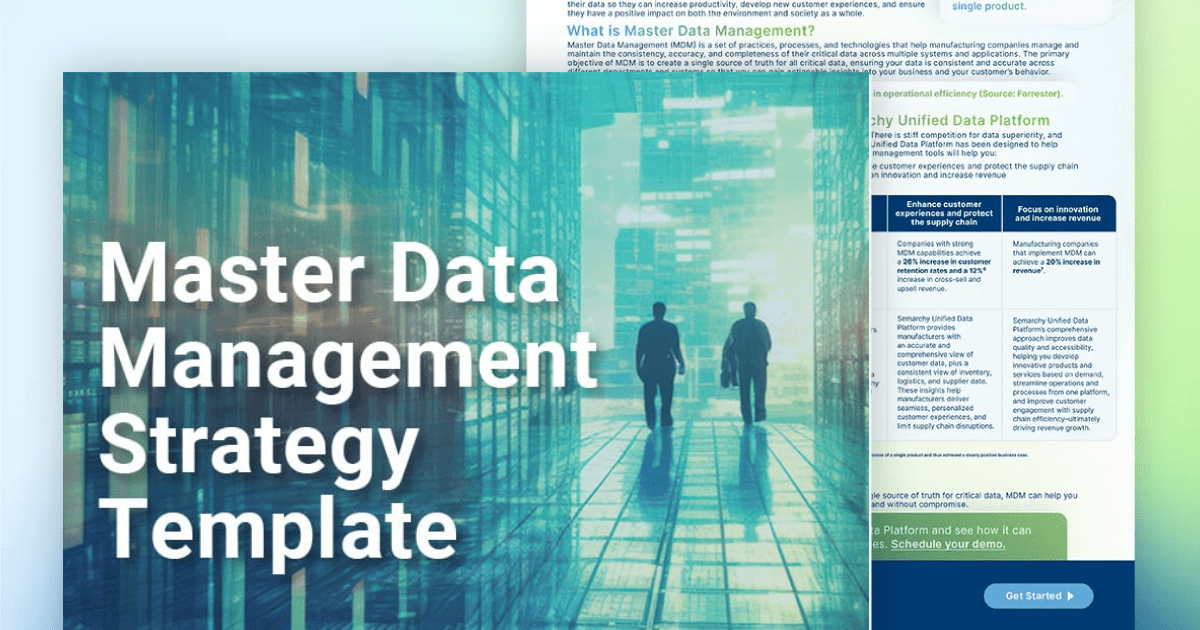 Master data management strategy template